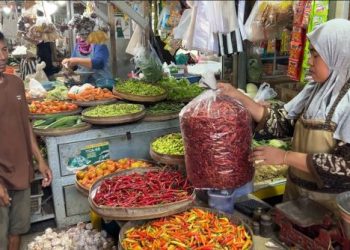 Harga Cabai Rawit Tembus Rp 74 Ribu, Warga Trenggalek Beralih ke Cabai Impor