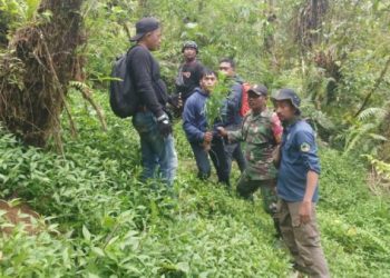 Mahalnya Tarif Drone di Bromo Karena Ladang Ganja Lumajang?