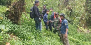 Mahalnya Tarif Drone di Bromo Karena Ladang Ganja Lumajang? (foto/ist)