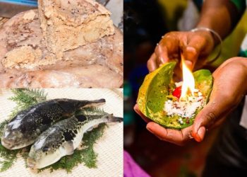 Ini Makanan Ekstrem di Dunia: Hanya Untuk yang Bernyali