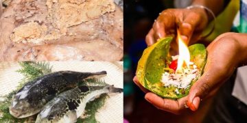 Ini Makanan Ekstrem di Dunia: Hanya Untuk yang Bernyali (foto ilustrasi/ist)