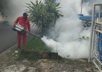 Cegah Penyebaran DBD, Dinkes Kota Kediri Lakukan Fogging
