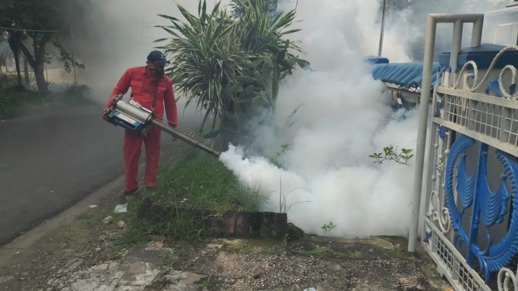 Cegah Penyebaran DBD, Dinkes Kota Kediri Lakukan Fogging