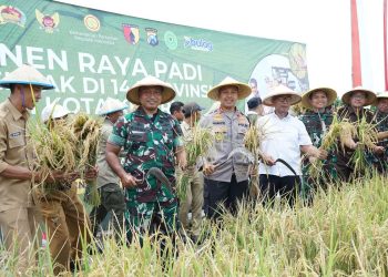 Wakil Wali Kota Ikuti Panen Padi Serentak 14 Provinsi di Seluruh Indonesia Bersama Presiden Prabowo. Foto : Dok. Pemkot Kediri