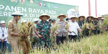 Wakil Wali Kota Ikuti Panen Padi Serentak 14 Provinsi di Seluruh Indonesia Bersama Presiden Prabowo. Foto : Dok. Pemkot Kediri
