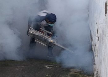 Wabah Cikungunya Serang Tiga Desa di Kediri