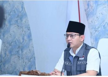 Program Makan Bergizi Gratis Diusulkan Menyesuaikan Kondisi Daerah
