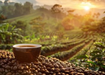 Cara Menikmati Kopi dengan Seduhan Khas Indonesia yang Unik