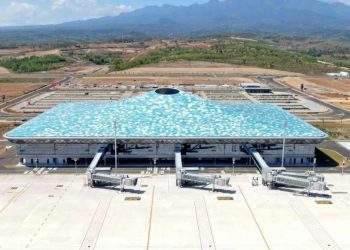 Penerbangan Bandara Dhoho Sepi, Pakar Transportasi Usulkan Ini