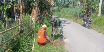 Personil TNI bersama Pekerja PLN saat membangun Penerangan Jalan Umum (PJU) di Desa Plalangan, Kecamatan Kalisat, Kabupaten Jember. Foto : Bacaini.id/Mega