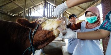 Pastikan Kelayakan Hewan Kurban, Mas Dhito Terjunkan Tim DKPP Ke Kandang Peternak. Foto : Dok. Pemkab Kediri