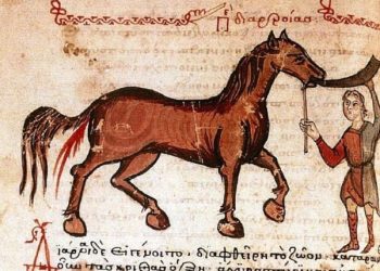 Hewan dan Kedokteran Punya Sejarah Panjang, Simak Juga Mitosnya