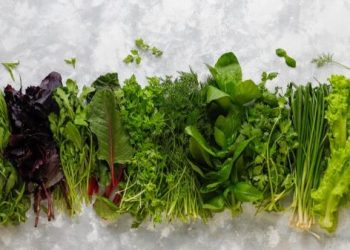 Ingin Kulit Sehat dan Glowing? Rutin Konsumsi Sayuran ini