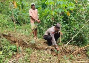 Ratusan Warga di Trenggalek Mengungsi Karena Tanah Gerak