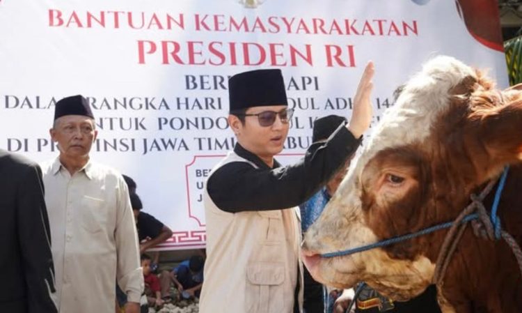 Presiden Prabowo Salurkan Sapi Kurban ke Pondok Kidul Kali Trenggalek
