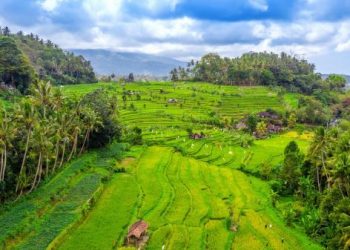 Indonesia Salah Satu Negara Aman Jika Perang Dunia III Pecah