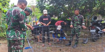TMMD Kodim Jember Bagi 10 Ribu Benih Lele untuk Warga Plalangan, Buka Peluang Ekonomi Baru