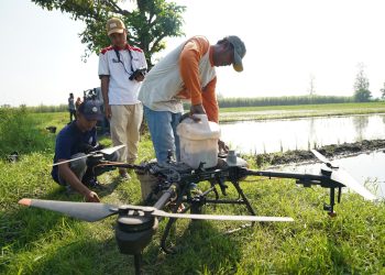 Respon Cepat Mas Dhito Tangani Lahan Padi Terendam Banjir di Purwoasri. Foto : Dok. Pemkab Kediri