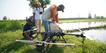 Respon Cepat Mas Dhito Tangani Lahan Padi Terendam Banjir di Purwoasri. Foto : Dok. Pemkab Kediri