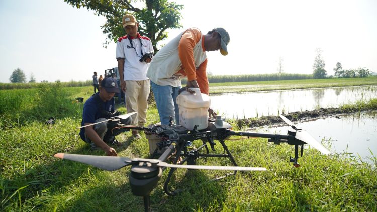 Respon Cepat Mas Dhito Tangani Lahan Padi Terendam Banjir di Purwoasri. Foto : Dok. Pemkab Kediri