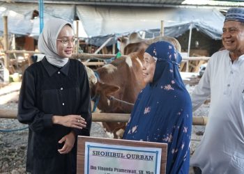 Mbak Wali Serahkan Sapi Hewan Kurban Ke Masjid Al Khalid. Foto : Dok. Pemkot Kediri