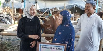 Mbak Wali Serahkan Sapi Hewan Kurban Ke Masjid Al Khalid. Foto : Dok. Pemkot Kediri