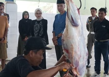 Mbak Wali Tinjau RPH Kelurahan Pojok, Pastikan Hewan Kurban Disembelih Sesuai Prosedur. Foto : Dok. Pemkot Kediri