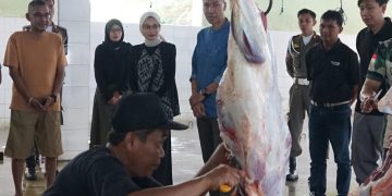 Mbak Wali Tinjau RPH Kelurahan Pojok, Pastikan Hewan Kurban Disembelih Sesuai Prosedur. Foto : Dok. Pemkot Kediri