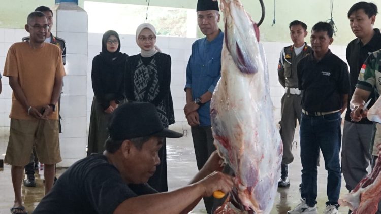 Mbak Wali Tinjau RPH Kelurahan Pojok, Pastikan Hewan Kurban Disembelih Sesuai Prosedur. Foto : Dok. Pemkot Kediri
