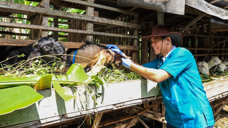 Jelang Hari Raya Kurban, Pemkot Kediri Gencar Lakukan Pemantauan Hewan Kurban. Foto : Dok. Pemkot Kediri