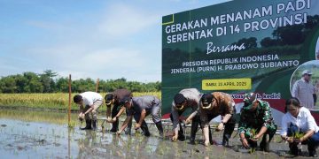 Berkat Terobosan Mas Dhito dan Rasakan Kenaikan Harga Gabah, Petani Semangat Tanam Padi. Foto : Dok. Pemkab Kediri