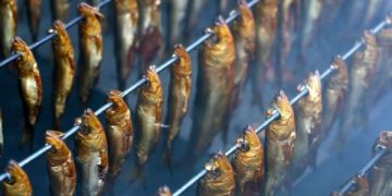 Tips Sukses Memulai Bisnis Ikan Asap dari Nol (foto ilustrasi/flickr)