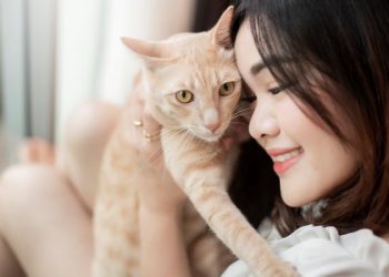 Piara Kucing Ternyata Bisa Kurangi Risiko Serangan Jantung