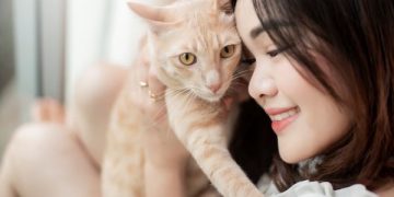 Piara Kucing Ternyata Bisa Kurangi Risiko Serangan Jantung (foto ilustrasi/vecteezy)