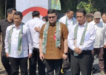 Pemerintahan Prabowo Cetak Stok Beras Terbesar Sepanjang Sejarah