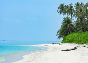 2 Pantai Indonesia Masuk 50 Pantai Terbaik Dunia 2025 (foto/Pulau Palambak, worlds50beaches)