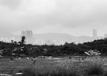 2 Tahun Nganggur, Tanah HGU dan HGB Diambil Alih Negara