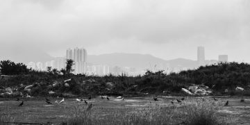 2 Tahun Nganggur, Tanah HGU dan HGB Diambil Alih Negara