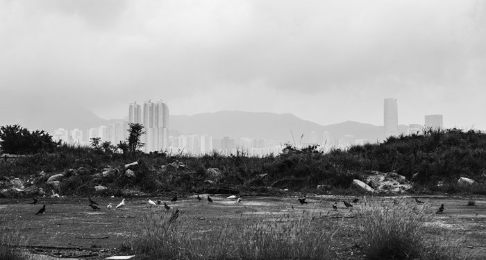 Ilustrasi lahan kosong. Foto: unsplash