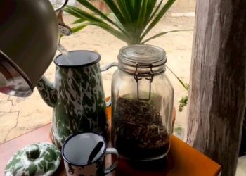 Legenda Nasgitel, Tradisi Ngeteh Khas Solo yang Awet Eksis