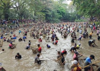 Tradisi Grobyak Ikan di Kediri, Serunya Warga Berebut Ikan