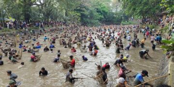 Tradisi Grobyak Ikan di Kediri, Serunya Warga Berebut Ikan (foto/Bacaini)