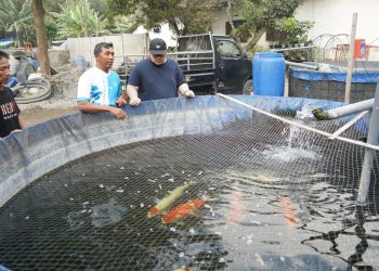 Nilai Ekonomis Capai Rp700 Milyar, Pemkab Kediri Bakal Gelar Kediri Koi Show 12. Foto : Dok, Pemkab Kediri