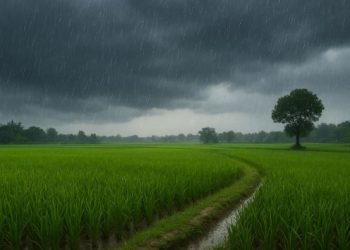 fenomena kemarau basah yang membingungkan