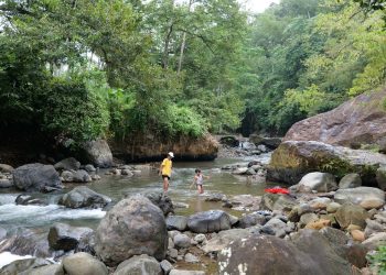 Mendulang Emas Hijau Demi Masa Depan