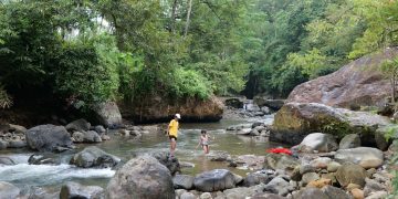 Mendulang Emas Hijau Demi Masa Depan