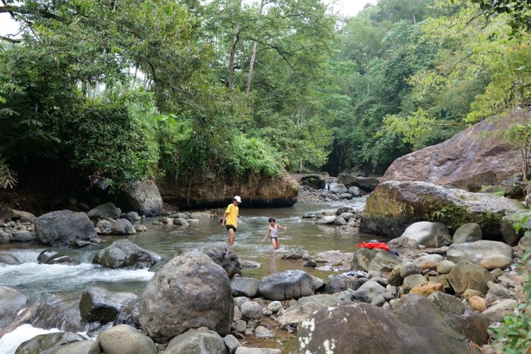 Mendulang Emas Hijau Demi Masa Depan