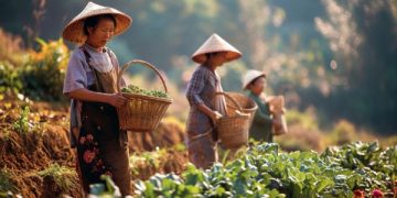 Data BPS menyebut mayoritas warga Indonesia bekerja di industri primer