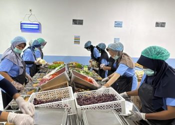 Waspada E. Coli, Penyebab Keracunan di Program MBG