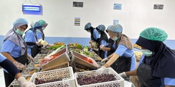 Waspada E. Coli, Penyebab Keracunan di Program MBG